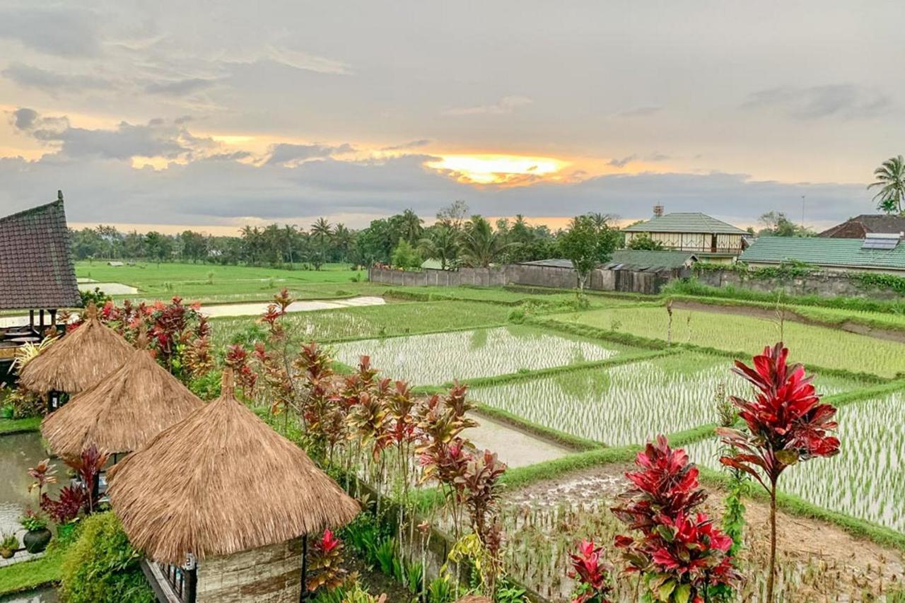 Lesehan Cahaya Tetebatu Inn Syariah At Desa Wisata Εξωτερικό φωτογραφία